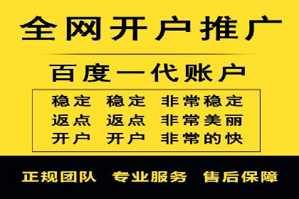从零到一：企业如何通过百度竞价实现快速增长？——以某公司为例